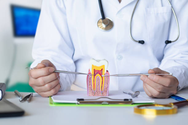 Best Broken or Cracked Tooth Emergency Dentist in Brinckerhoff, NY